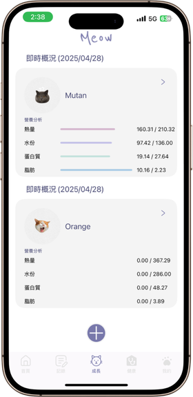 成長儀表板即時概況